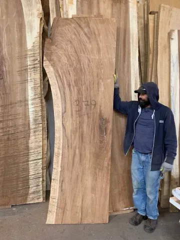 (1)Parota Slab #379 One Live Edge