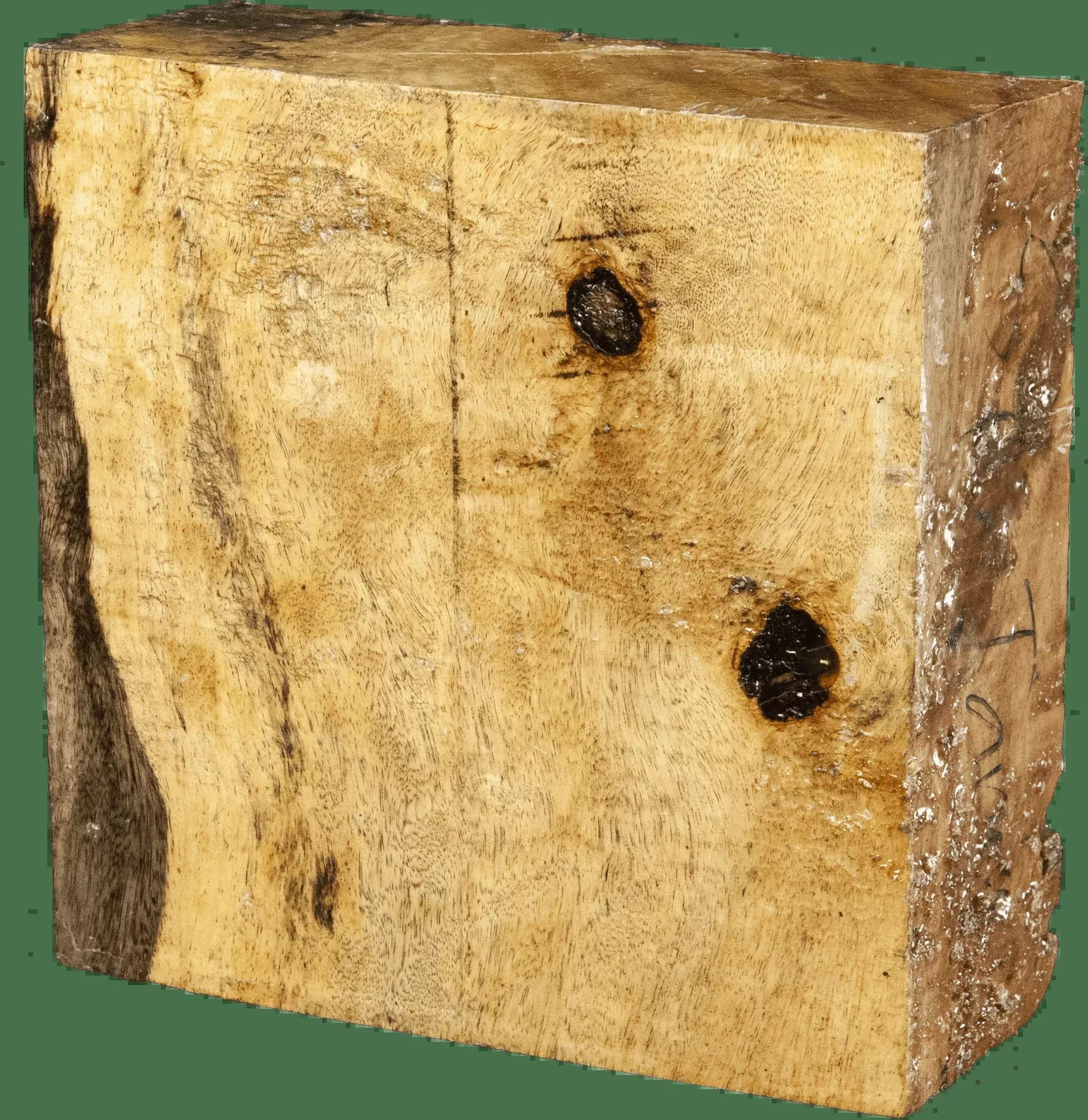 3″ x 8″ x 8″ Spalted Tamarind Turning Blank