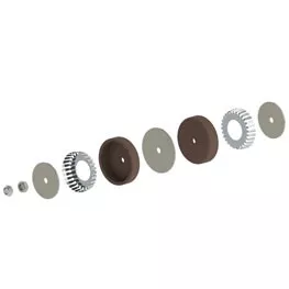 Albion Repair Kit: Bulk Gun Pistons