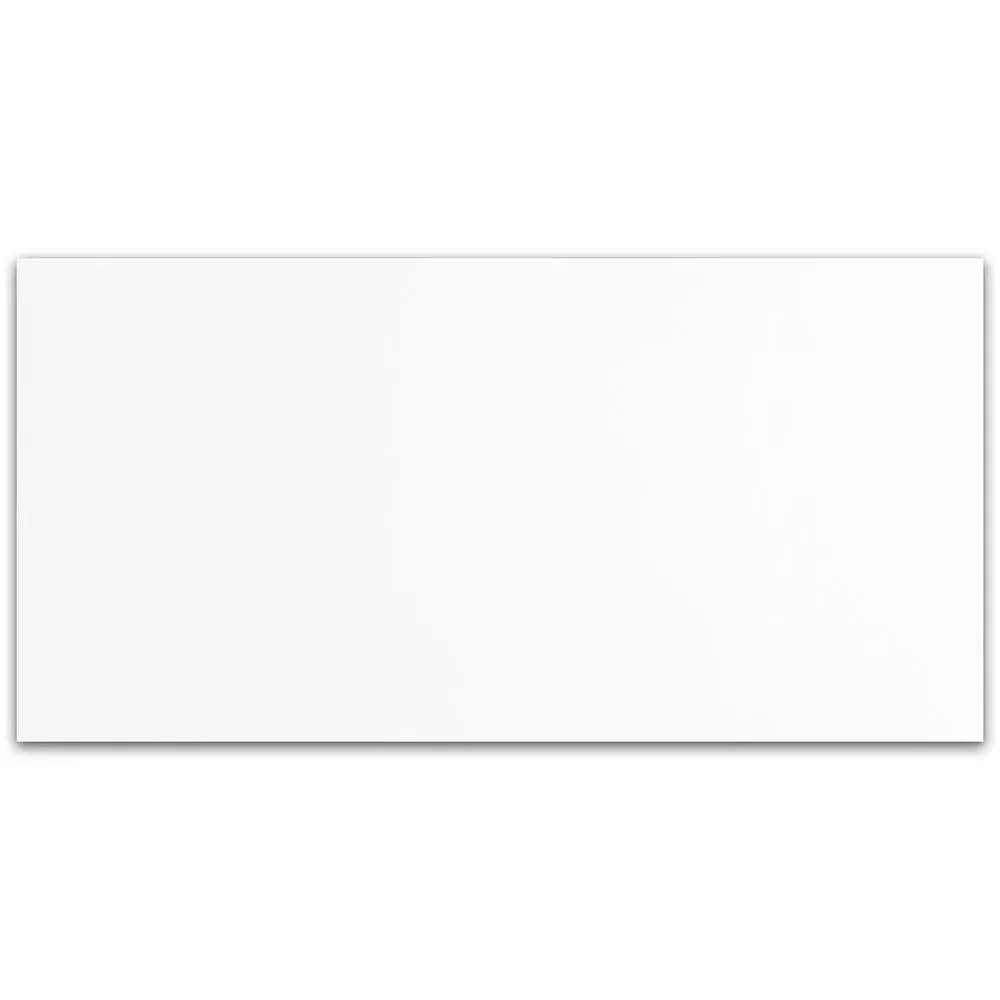 Alpine Polished 24x48x3/8