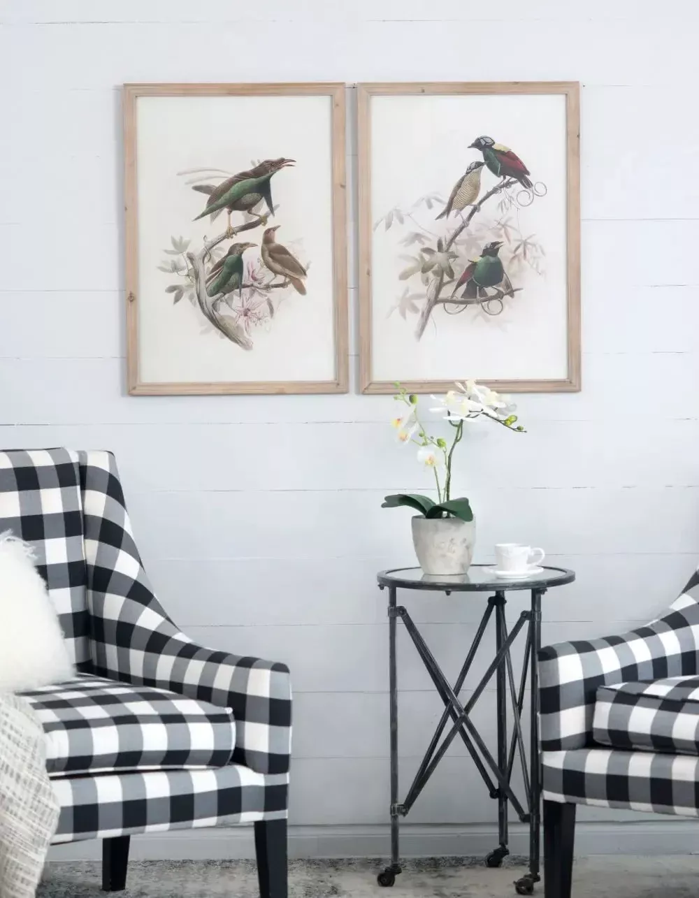 Bird Framed Print (Set of 2) - Multicolor
