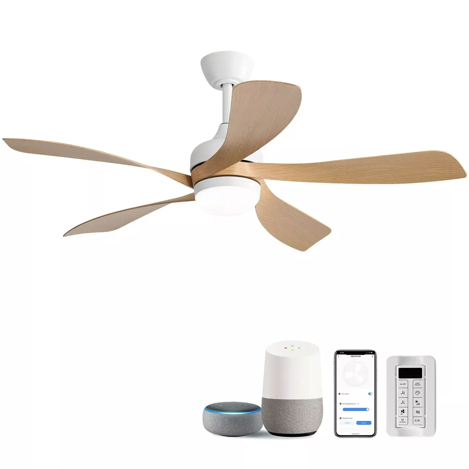 Ceiling Fan & DC Motor And Integrated Light