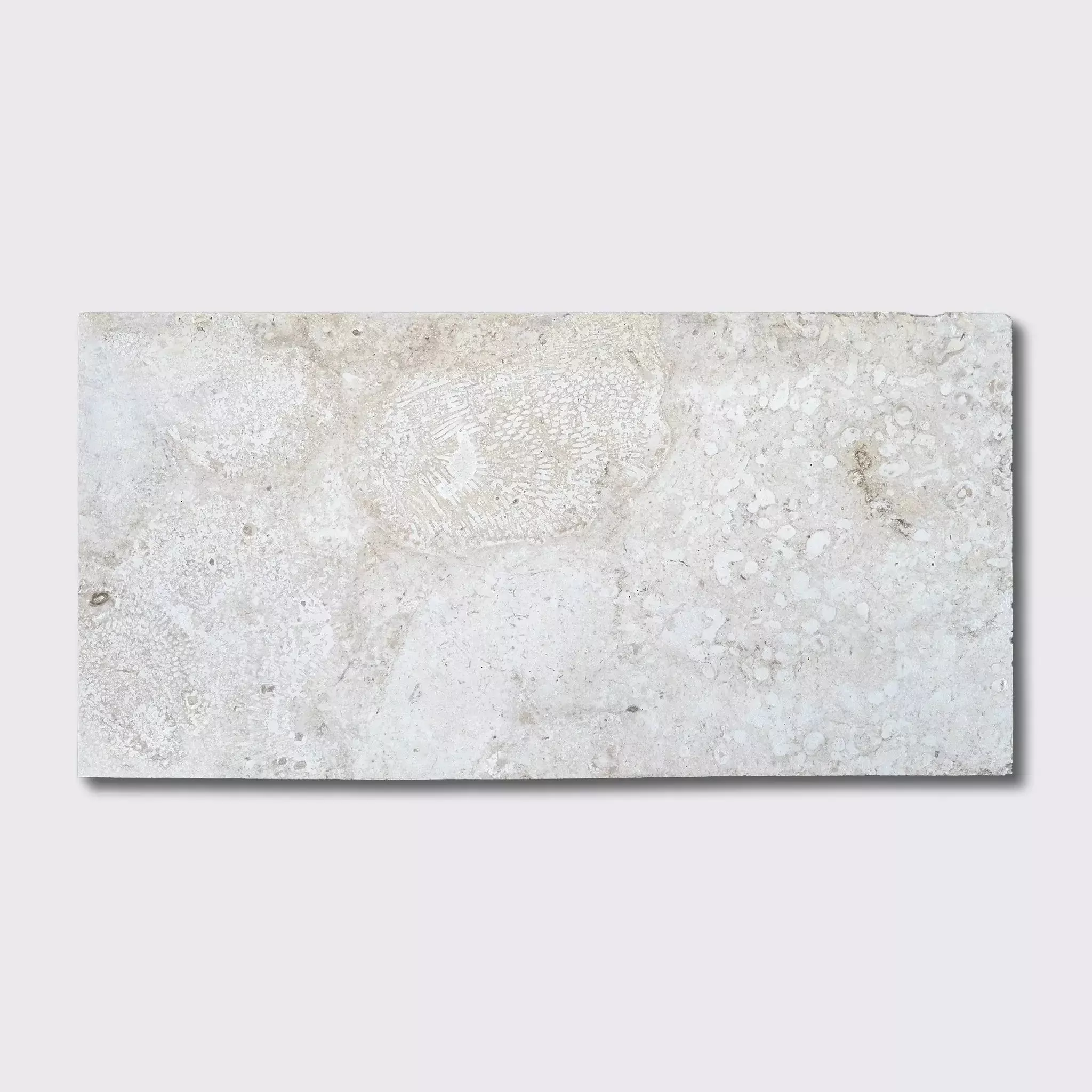 Coral Honed Filled Flute Trim Tiles 12x24