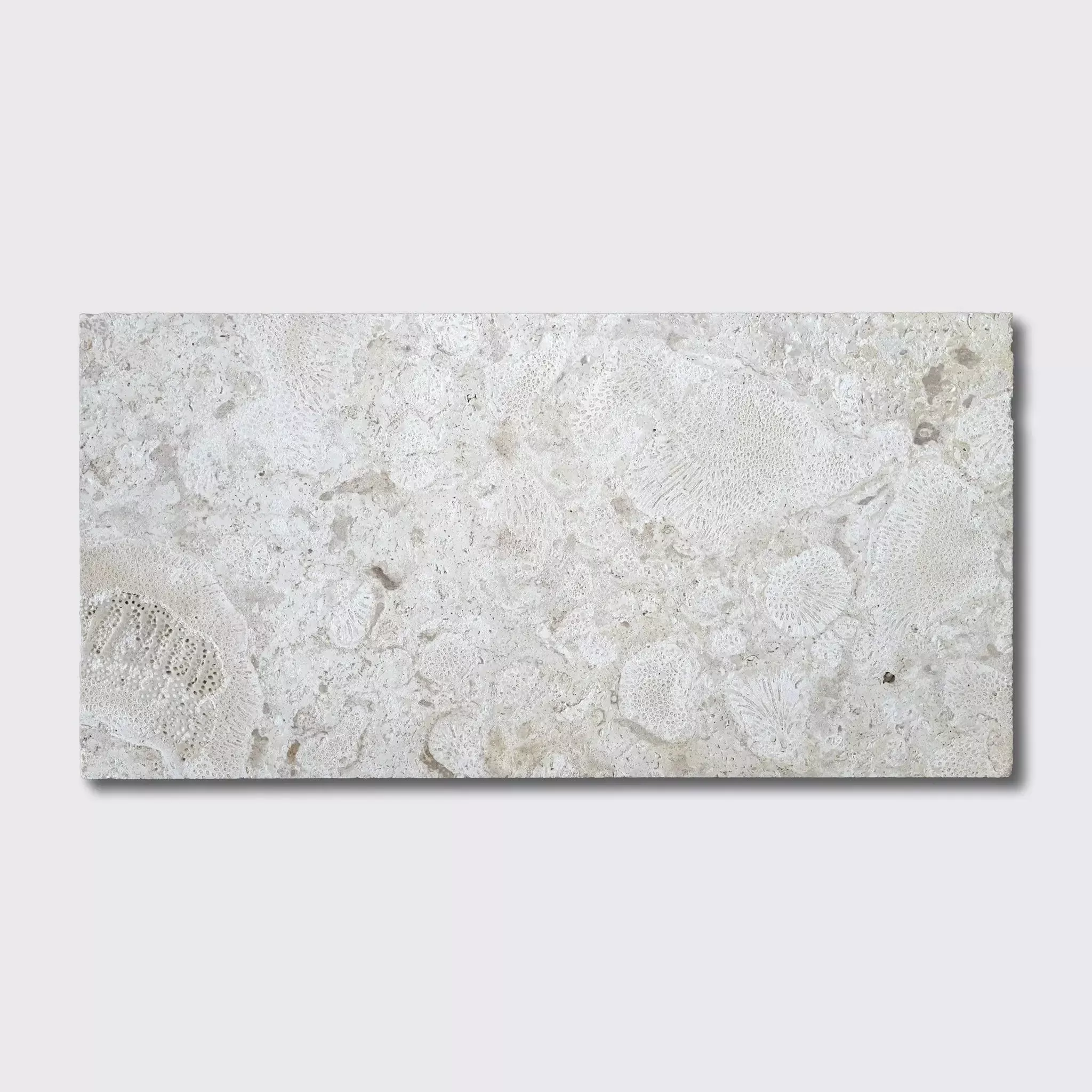 Coral Natural Flute Trim Tiles 12x24