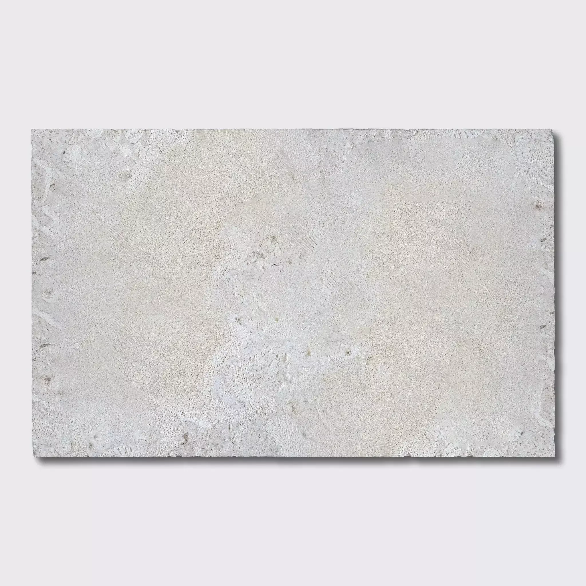 Coral Natural Flute Trim Tiles 18x36