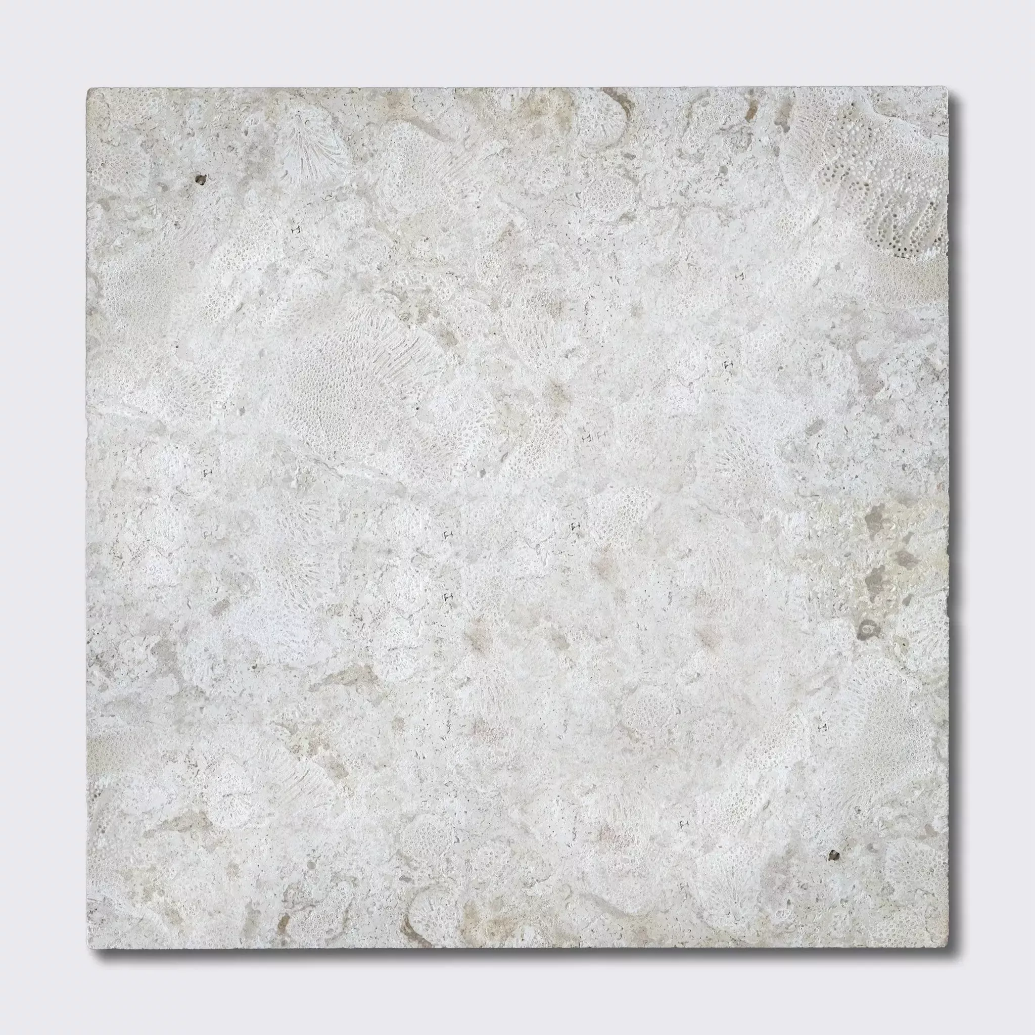 Coral Natural Flute Trim Tiles 24x24