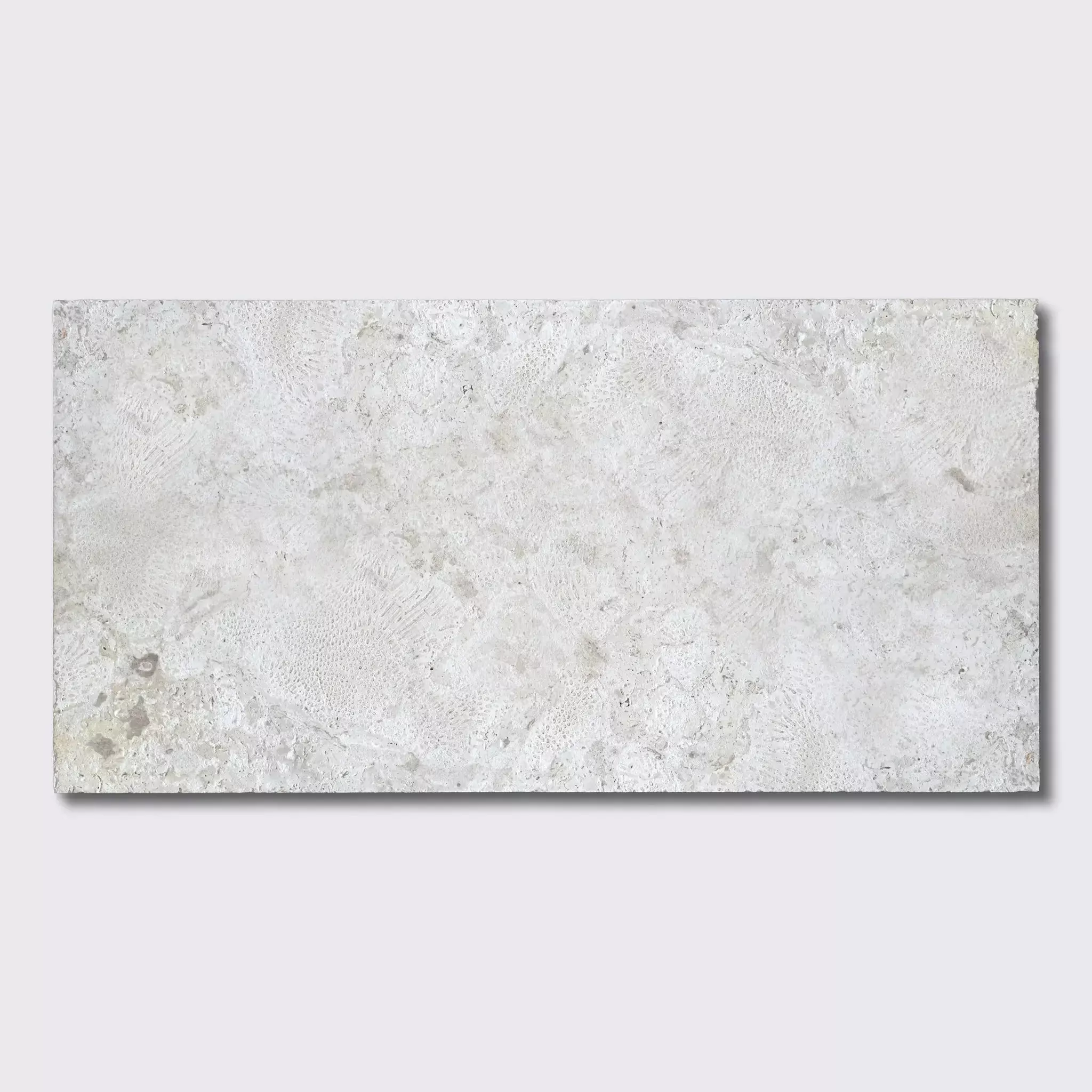 Coral Natural Pavers 16x24