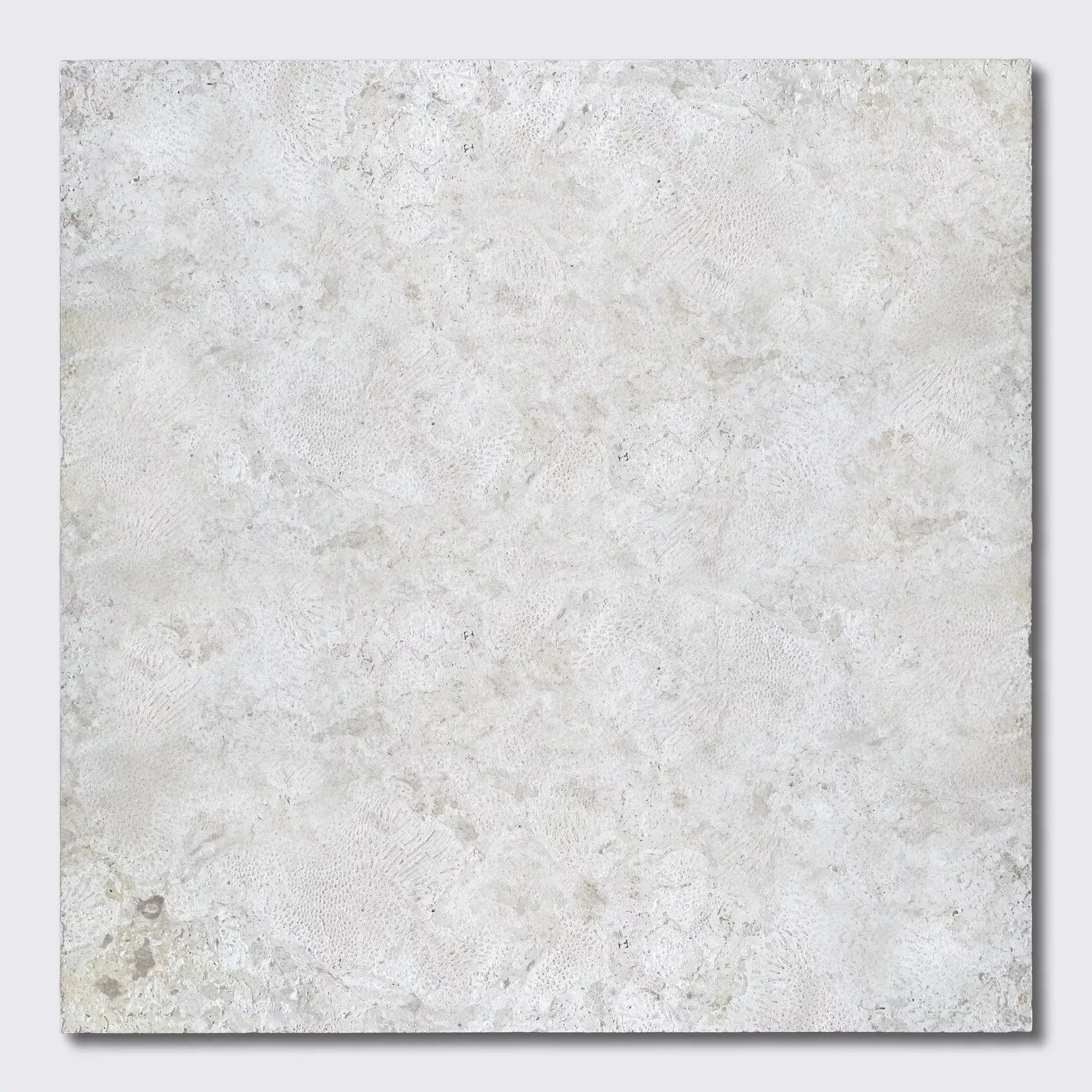 Coral Natural Pavers 24x24