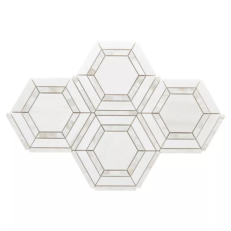 Dolomite Framed Mother of Pearl Hexagon Polished Marble Mosaic