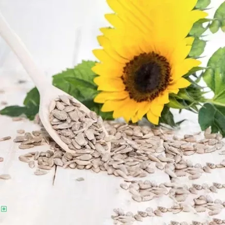 Feed: Sunflower Seeds - Delicious Wild or Domestic Bird Seed/Food - Free Shipping!