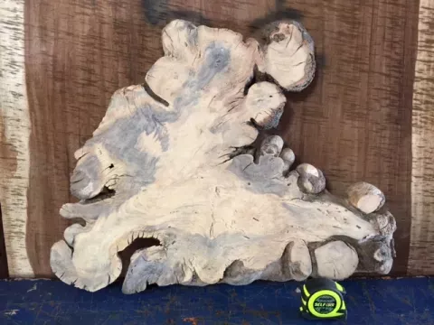 Fig Slab #12 Round