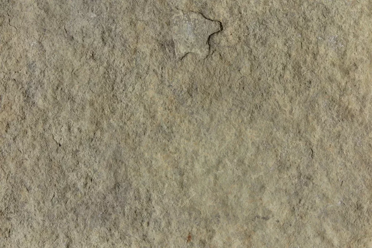 French Vanilla Limestone Coping - Natural Cleft Face, Gauged Back