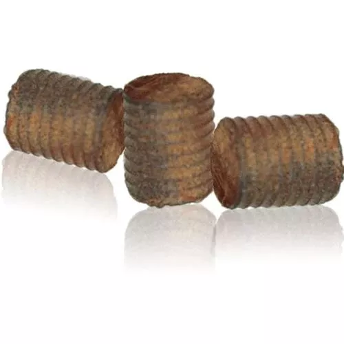 Ipe Wood Extreme Plugs