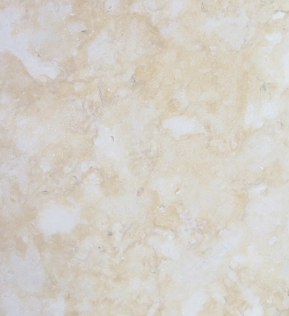 Jerusalem Gold Dark Limestone Coping - Brushed