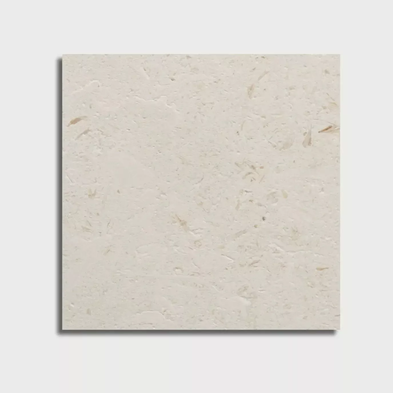 Myra Shellstone Brushed Limestone Pavers 24x24