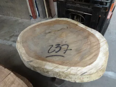 *Parota Slab #237 Live Edge