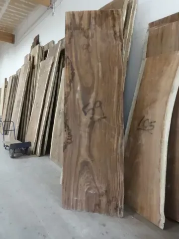Parota Slab #59 Straight Edge