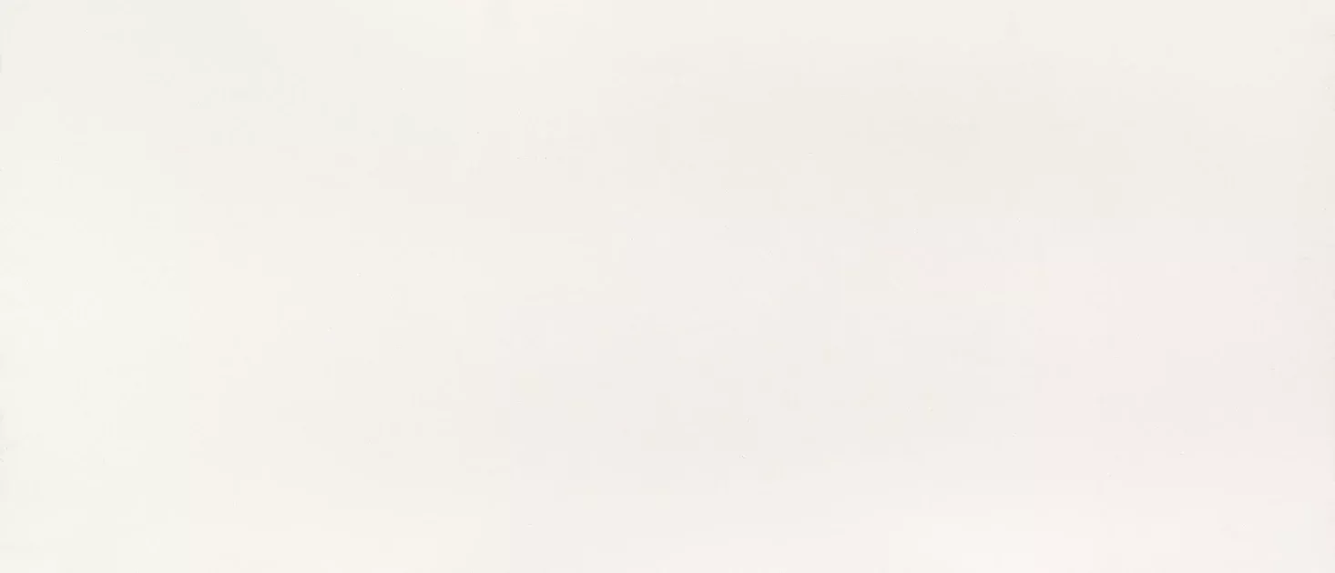 Snow White 127x75 2 cm Polished Quartz Slab