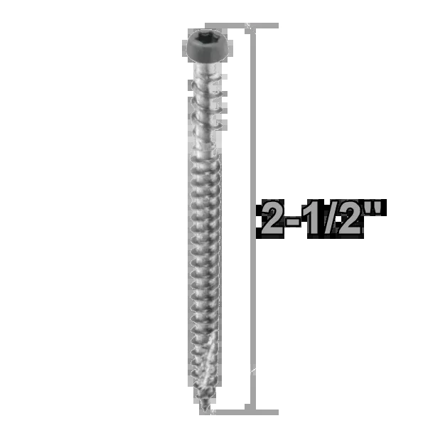Starborn CAP-TOR Stainless Steel 2-1/2" Screws