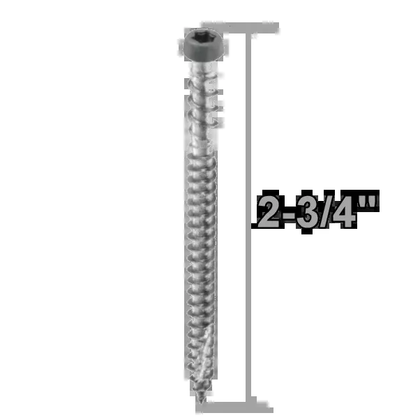 Starborn CAP-TOR Stainless Steel 2-3/4" Screws