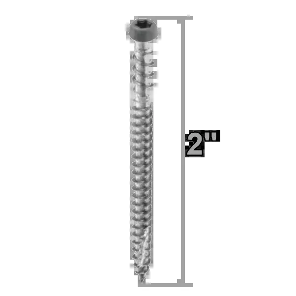 Starborn CAP-TOR Stainless Steel 2" Screws
