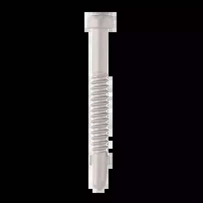 STARBORN Pro Plug DECK/TRIM SCREWS METAL 410SS 1-5/8in
