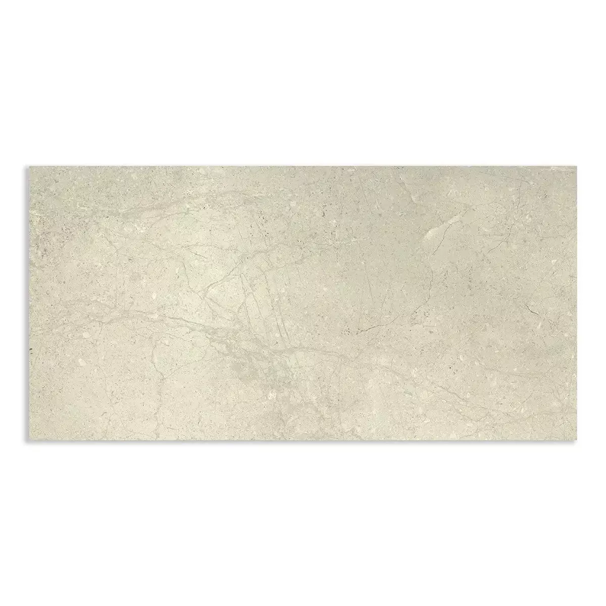 White Matte Porcelain Tiles 12x24