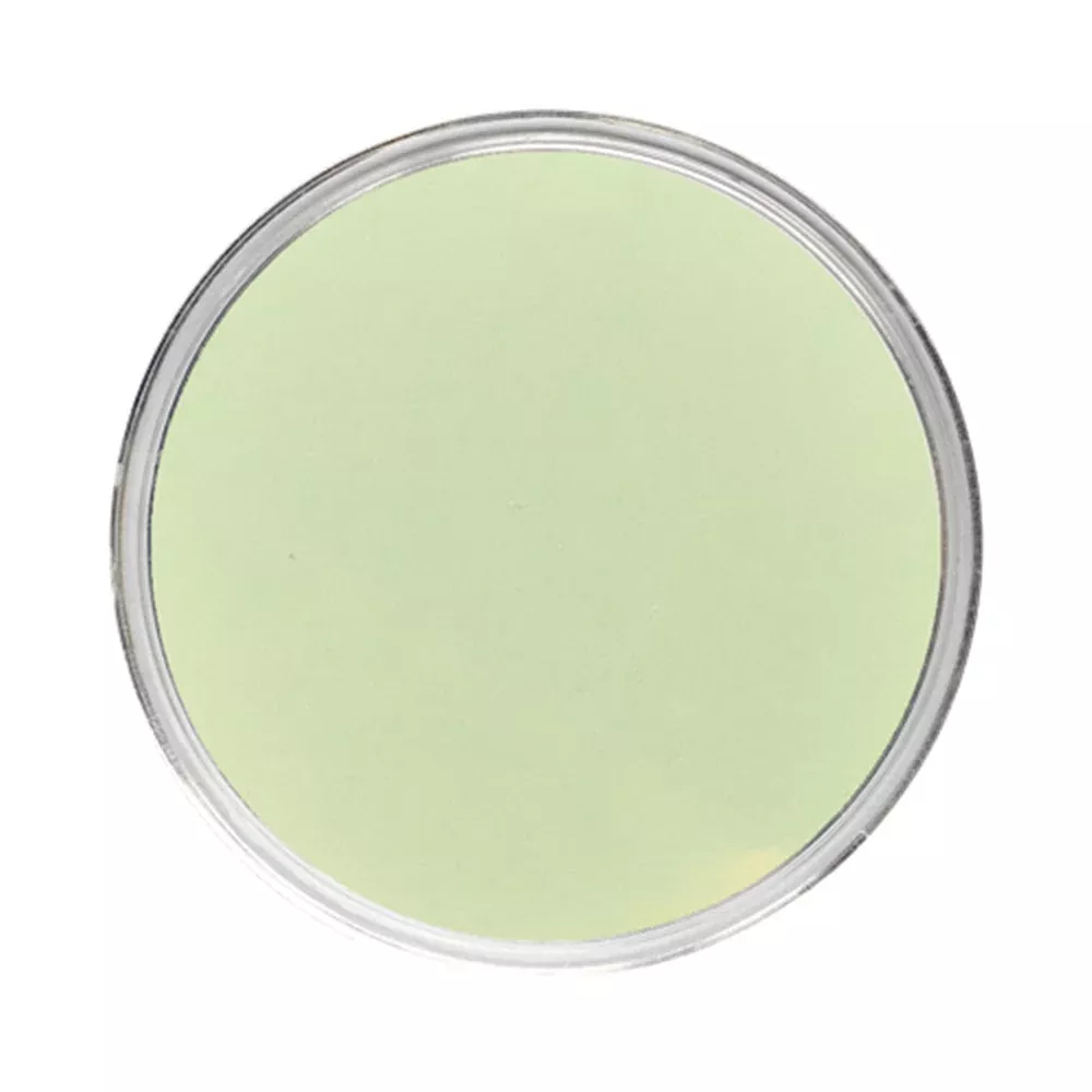 WiseGlow "Lime Light" Glow In The Dark Epoxy Colorant Powder