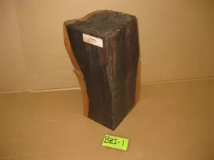 Ziricote BZI1